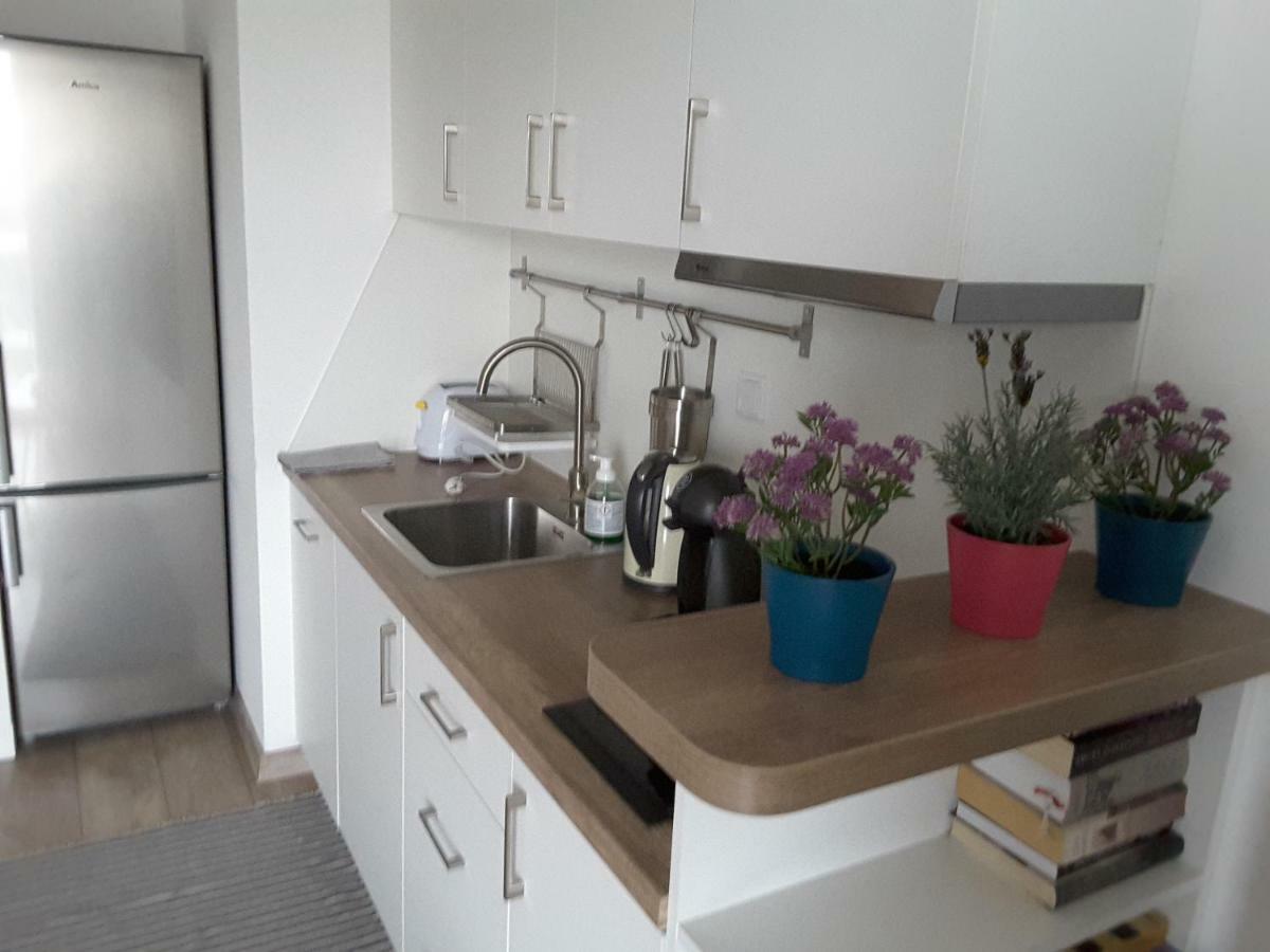 קרקוב White Swan Apartment מראה חיצוני תמונה
